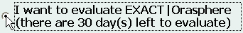 'Evaluation' option (EO)