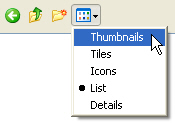 Thumbnail view