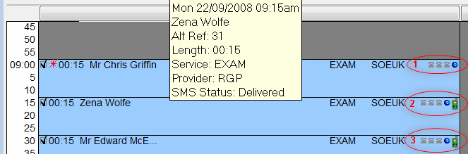 Appointment tootip example 3