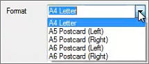 EasyPostFormatDropdown
