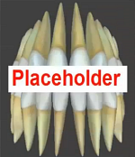 PlaceHolder-3D