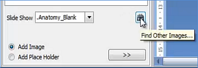 ImagesTab-ImageSearchIcon