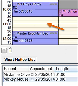 SNL-2Patients-Available