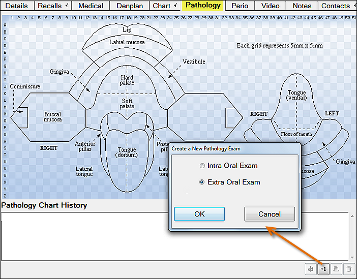 CreateExtraOralPathologyChart1