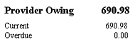 ProviderOwing