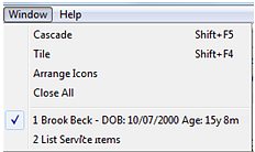 Menubar-Window