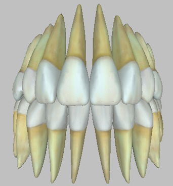 Jaw mode